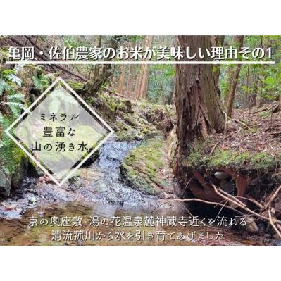 ふるさと納税 令和8年産【6回定期便】白米 コシヒカリ 5kg 精米 定期便 京都府亀岡市の画像