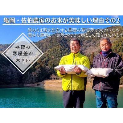 ふるさと納税 令和8年産【6回定期便】白米 コシヒカリ 5kg 精米 定期便 京都府亀岡市の画像