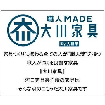 ふるさと納税 ドルフ 140 オープンボード WN 福岡県大川市の画像