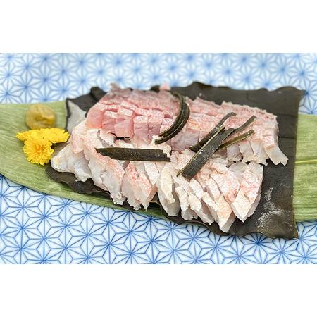 ふるさと納税 漁師直送 甘鯛 (あまだい)  秋田県産 3kg (配送期間 5月?10月末予定、期間外は次期予約扱い) 秋田県由利本荘市｜furunavi｜02