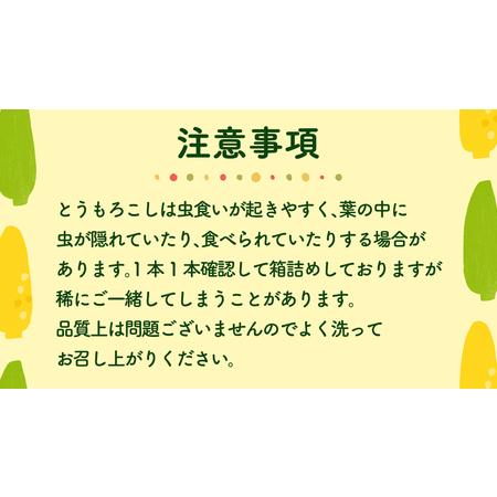 ふるさと納税 とうもろこし ゴールドラッシュ 6kg 茨城県産  トウモロコシ 茨城県八千代町 |  | 04