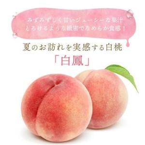 ふるさと納税 和歌山県産 白鳳 桃 5〜8玉入り 秀品 先行予約［2026年6月下旬以降発送］［MG6］ 和歌山県和歌山市の画像