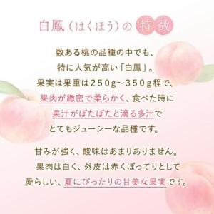 ふるさと納税 和歌山県産 白鳳 桃 5〜8玉入り 秀品 先行予約［2026年6月下旬以降発送］［MG6］ 和歌山県和歌山市の画像