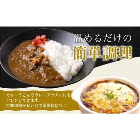 ふるさと納税 飛騨牛カレー (25袋) | 訳あり 飛騨牛 肉 牛 カレー ビーフカレー 簡易包装 レトルトカレー 人気 おすすめ おいしい 便利 飛騨高山.. 岐阜県高山市｜furunavi｜04