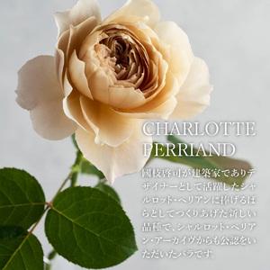 ふるさと納税 わばら花束S-ROSE CHARLOTTE PERRIAND Rose Farm KEIJI