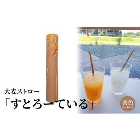 ふるさと納税 大麦ストロー「すとろーている」、ケース入り茶色 天然素材 エコ ストロー 大麦 すとろーている 20本 ケース入り 選べる 栽培期間.. 滋賀県守山市