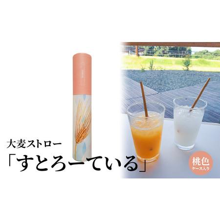 ふるさと納税 大麦ストロー「すとろーている」、ケース入り桃色 天然素材 エコ ストロー 大麦 すとろーている 20本 ケース入り 選べる 栽培期間.. 滋賀県守山市