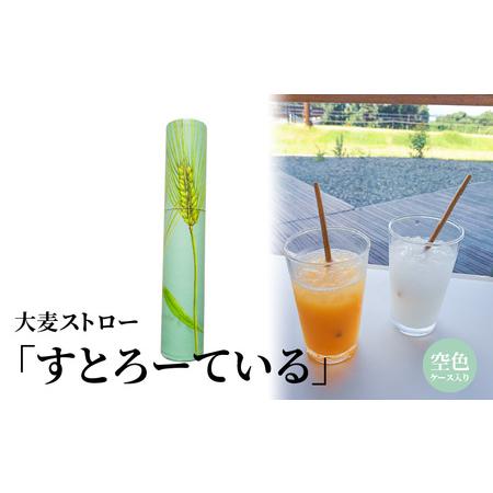 ふるさと納税 大麦ストロー「すとろーている」、ケース入り空色 天然素材 エコ ストロー 大麦 すとろーている 20本 ケース入り 選べる 栽培期間.. 滋賀県守山市