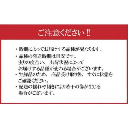 ふるさと納税 【先行予約】さぬき市の白桃 約2kg 7月発送 品種おまかせ【国産 もも 桃 白桃 白鳳 あかつき 清水白桃 なつおとめ 川中島白桃 ま.. 香川県さぬき市の画像