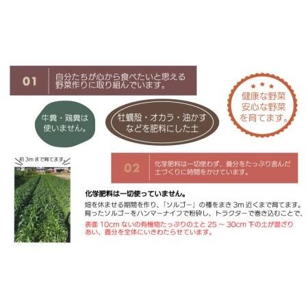 ふるさと納税 無農薬 野菜 おまかせ セット 6〜7品 香川県さぬき市|furunavi|02