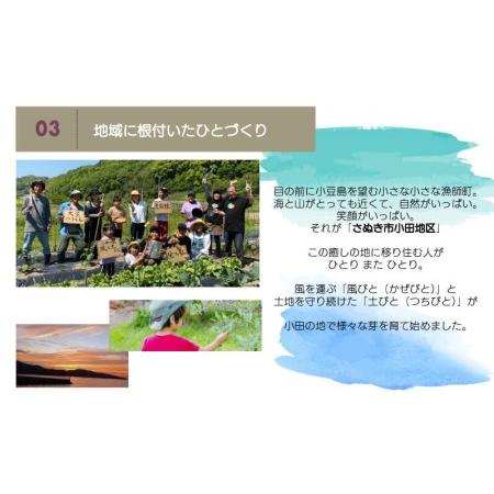 ふるさと納税 無農薬 野菜 おまかせ セット 6〜7品 香川県さぬき市|furunavi|03