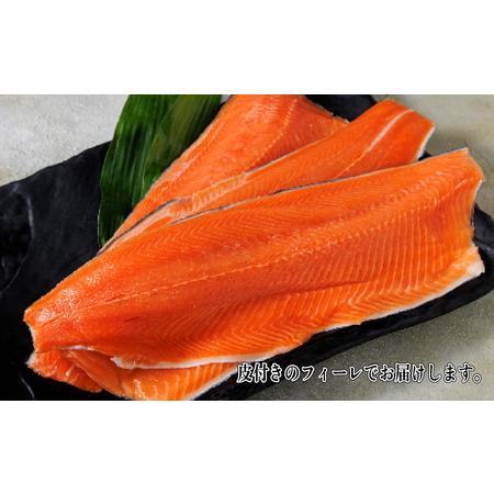 ふるさと納税 サーモン 1kg サーモン 鮭 サーモン 国産 サーモン 鮮魚