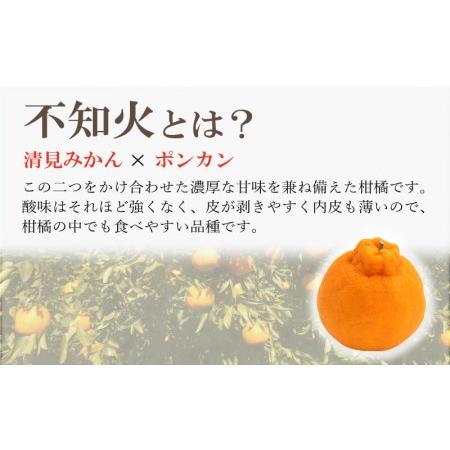 ふるさと納税 訳あり 規格外 不知火 しらぬひ デコポン 約 3kg 柑橘 香川県さぬき市|furunavi|02