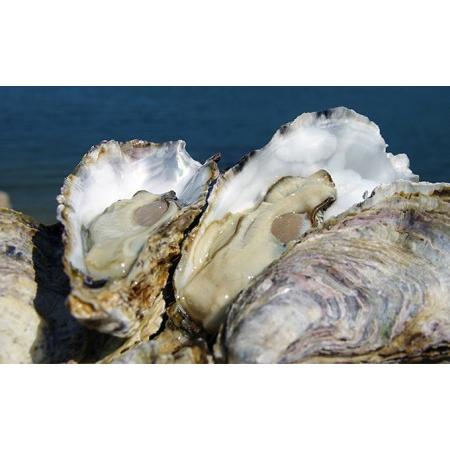 ふるさと納税 牡蠣 冷凍 むき身 1kg 広島県 呉市産 加熱用 宮原水産 広島県呉市|furunavi|03