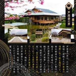 ふるさと納税 芦屋鋳物「錫製古印」(1点) 判子 はんこ ハンコ 印鑑 印章 オリジナル オーダーメイド 1点もの 鋳物 工芸品 民芸品 お祝い 贈物 贈.. 福岡県芦屋町_1