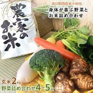 ふるさと納税 [玄米2kg]栽培期間農薬不使用『身体が喜ぶ野菜とお米』詰め合わせ(おまかせ)潮来はぐくみのもり[配送不可地域:離島][1069134.. 茨城県潮来市