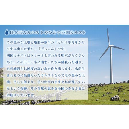 ふるさと納税 四国カルスト天然水ぞっこん（6L×2本）×4ケース 計8本 NZS0009 愛媛県西予市_2