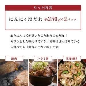 ふるさと納税 【名店の味】こだわりのタレ漬け牛ハラミ焼肉500g(上ハラミにんにく塩たれ味)(250×2パック) 和歌山県九度山町|furunavi|03