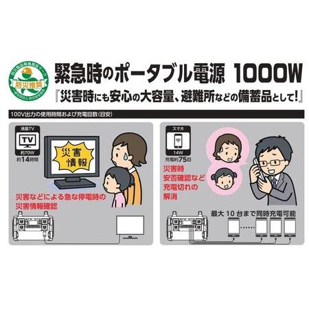 ふるさと納税 ポータブル電源パワーバンク1000｜1000W 大容量 アウトドア 車中泊 DIY キャンプ ソロキャンプ BBQ 屋外作業 熱中症対策 防災 災.. 大阪府寝屋川市｜furunavi｜02