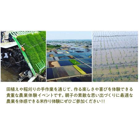 ふるさと納税 【2026年5月16日(土曜日) 開催予定】親子で米作り体験（田植え・稲刈り体験）にじのきらめき 5kg付き 茨城県つくばみらい市_1