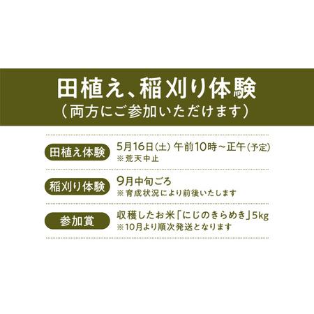 ふるさと納税 【2026年5月16日(土曜日) 開催予定】親子で米作り体験（田植え・稲刈り体験）にじのきらめき 5kg付き 茨城県つくばみらい市_2