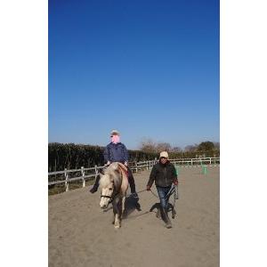 ふるさと納税 体験乗馬レッスン　２０分（騎乗馬への支援付コース） 埼玉県羽生市 