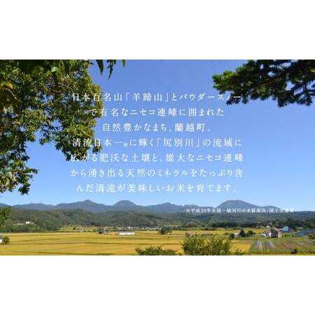 新品未使用！ ふるさと納税 【12ヶ月定期便】らんこし米 (ななつぼし 5kg) 北海道蘭越町 【YWU1824904313】(64260円)