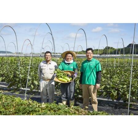 ふるさと納税 漬物 京つけものもり 8種 お漬物 70th 京都府亀岡市