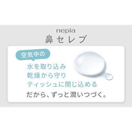 ふるさと納税 ネピア鼻セレブティシュ3箱×10パック 愛知県春日井市