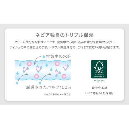 ふるさと納税 ネピア鼻セレブティシュ3箱×10パック 愛知県春日井市