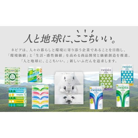 ふるさと納税 ネピア鼻セレブティシュ3箱×10パック 愛知県春日井市