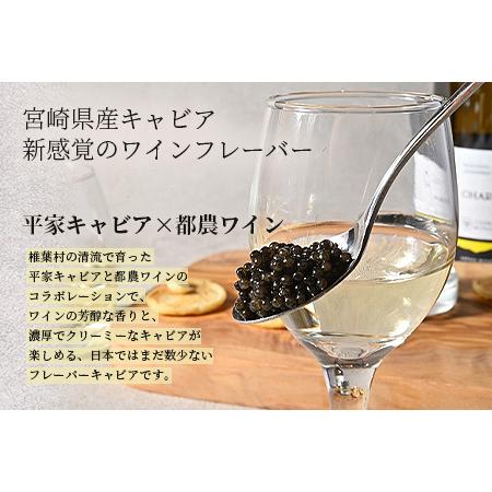 中古品 ふるさと納税 【世界三大珍味×日本三大秘境】HEIKE CAVIAR 3種食べ比べセット20g×3【産地直送】【簡易包装】 宮崎県椎葉村 【UOI1107976066】(39015円)