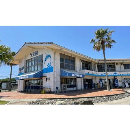 ふるさと納税 新居弁天海釣公園 駐車場 回数券（11枚綴） 静岡県湖西市 11枚綴