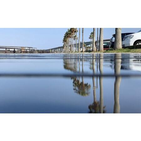 ふるさと納税 新居弁天海釣公園 駐車場 回数券（11枚綴） 静岡県湖西市 11枚綴