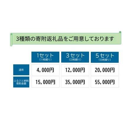 ふるさと納税 新居弁天海釣公園 駐車場 回数券（11枚綴） 静岡県湖西市 11枚綴