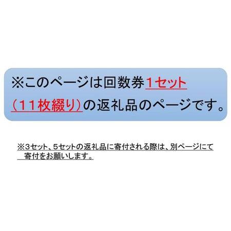 ふるさと納税 新居弁天海釣公園 駐車場 回数券（11枚綴） 静岡県湖西市 11枚綴
