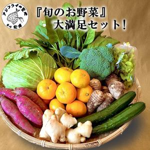 ふるさと納税 [A7-053]道の駅松浦海のふるさと館『旬のお野菜』の大満足セット!( 野菜 やさい 旬 おいしい 野菜セット ) 長崎県松浦市