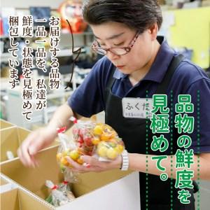 ふるさと納税 【A7-053】道の駅松浦海のふるさと館『旬のお野菜』の大満足セット！（ 野菜 やさい 旬 おいしい 野菜セット ） 長崎県松浦市｜furunavi｜03