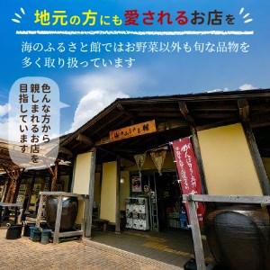 ふるさと納税 【A7-053】道の駅松浦海のふるさと館『旬のお野菜』の大満足セット！（ 野菜 やさい 旬 おいしい 野菜セット ） 長崎県松浦市｜furunavi｜05