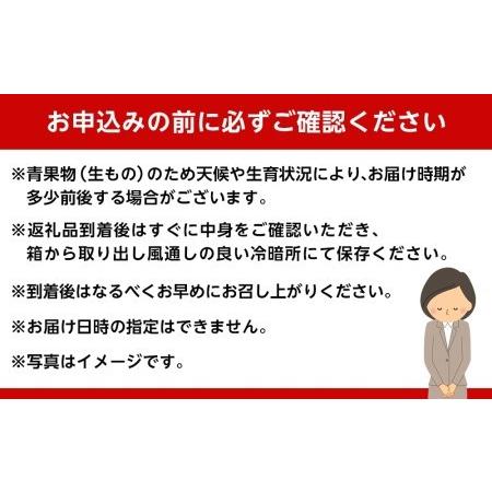 ふるさと納税 和歌山産 【極早生】みかん 5kg 【ご自宅用・サイズ不揃い・キズ等あり】【ヤマタ大谷商店】 和歌山県和歌山市|furunavi|04