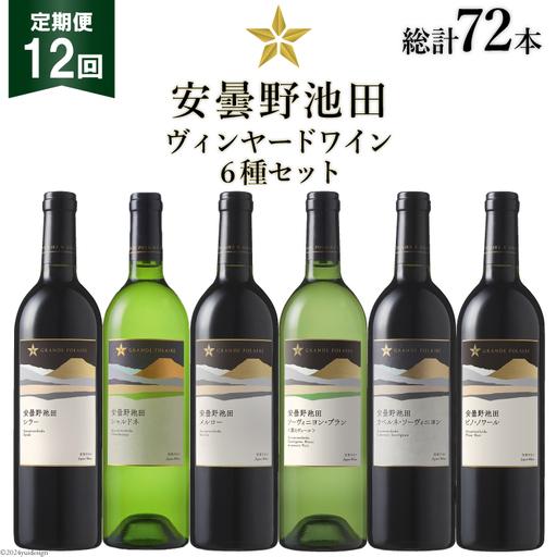 ふるさと納税 12回 定期便 ワイン セット サッポロ グランポレール 