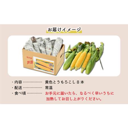 ふるさと納税 【先行予約】秋とうもろこし 8本 おおもの 黄色 朝 ふるさと納税 【先行予約】秋とうもろこし 8本 おおもの 黄色 朝