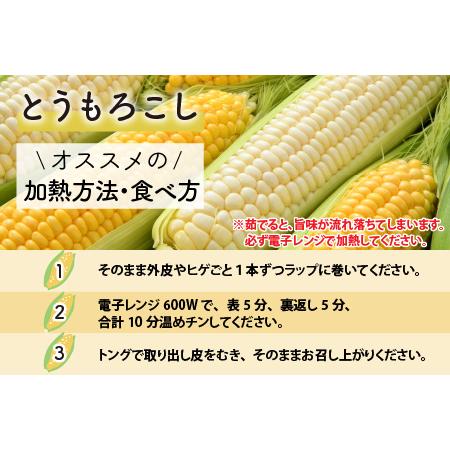 ふるさと納税 【先行予約】秋とうもろこし 黄色 白色 計10本 おおもの 朝採り ／ 期間限定 数量限定 ハウス栽培 産地直送 甘い ミックス スイ.. 福井県あわら市｜furunavi｜02