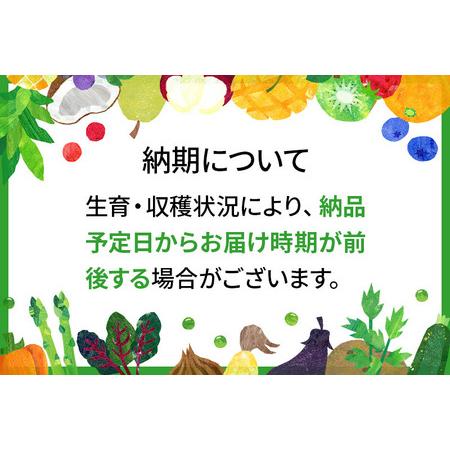 ふるさと納税 りんご (高徳・秀) 1.8kg 山形県産 フルーツ 果物 【2024年11月上旬〜11月中旬に順次発送予定】 山形県白鷹町｜furunavi｜02