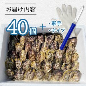 ふるさと納税 あまべ牡蠣 40個 牡蠣 シングルシード 生食用 殻付き かき カキ オイスター 生ガキ 生牡蠣 生がき 生かき ギフト 貝 旨味  徳島県海陽町_1