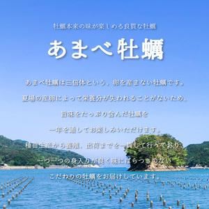 ふるさと納税 あまべ牡蠣 40個 牡蠣 シングルシード 生食用 殻付き かき カキ オイスター 生ガキ 生牡蠣 生がき 生かき ギフト 貝 旨味  徳島県海陽町_2