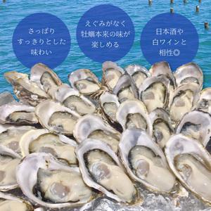 ふるさと納税 あまべ牡蠣 40個 牡蠣 シングルシード 生食用 殻付き かき カキ オイスター 生ガキ 生牡蠣 生がき 生かき ギフト 貝 旨味  徳島県海陽町_3