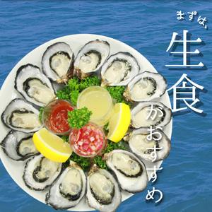 ふるさと納税 あまべ牡蠣 40個 牡蠣 シングルシード 生食用 殻付き かき カキ オイスター 生ガキ 生牡蠣 生がき 生かき ギフト 貝 旨味  徳島県海陽町_4