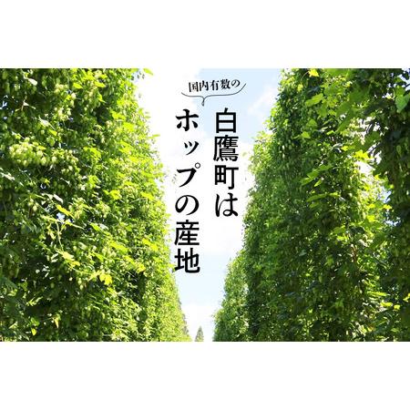 【まとめ売り】 ふるさと納税 《定期便6ヶ月》キリン クラシックラガー 350ml×24缶【1ケース】 山形県白鷹町 【Q1254085806】(44160円)