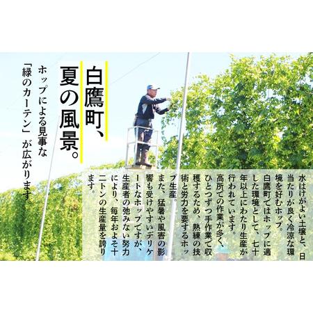 【まとめ売り】 ふるさと納税 《定期便6ヶ月》キリン クラシックラガー 350ml×24缶【1ケース】 山形県白鷹町 【Q1254085806】(44160円)